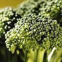 brocoli