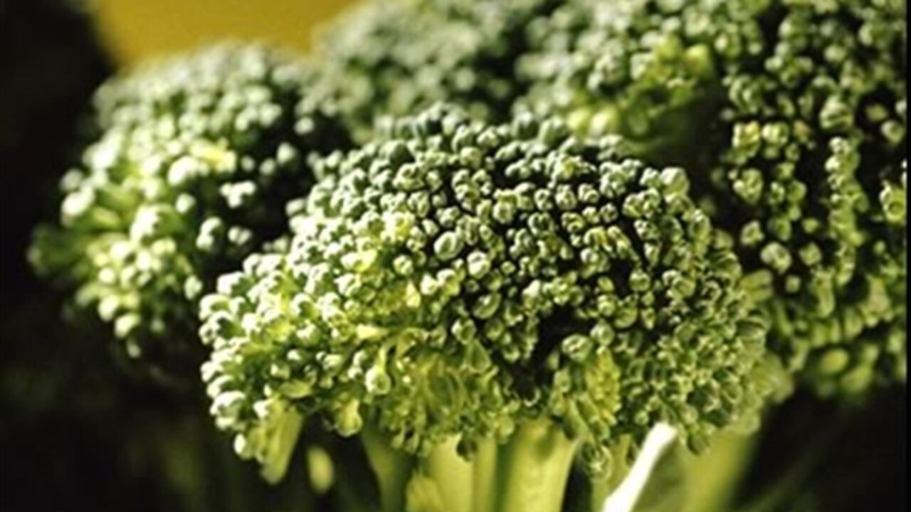 brocoli