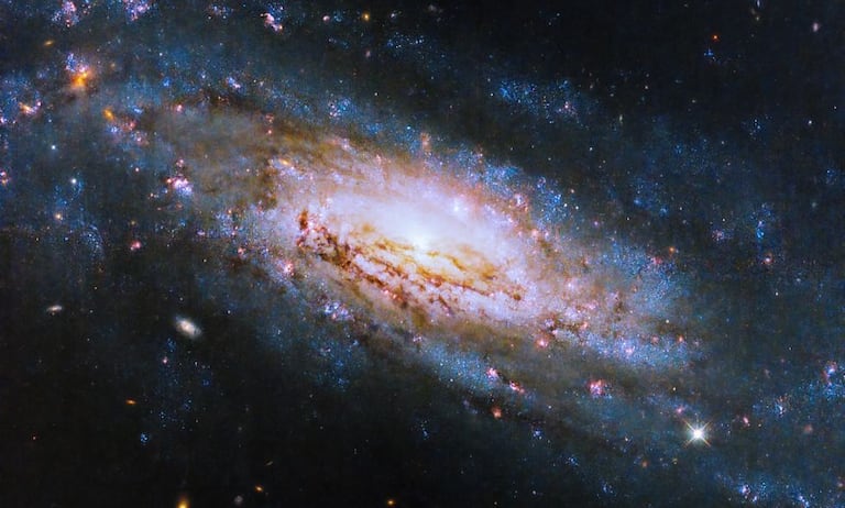 Esta imagen del Telescopio Espacial Hubble de la NASA muestra la galaxia espiral NGC 4951, ubicada aproximadamente a 50 millones de años luz de la Tierra.