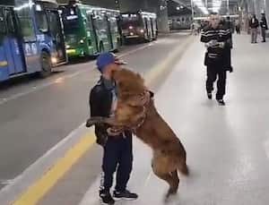 Conmovedor encuentro entre un niño y su perro perdido en TransMilenio.