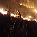 Los reportes hablan al menos 900 hectáreas vueltas, cenizas y algunos animales de la zona como zarigüeyas afectadas por el fuego en Cerro Gordo, punto exacto de las conflagraciones.