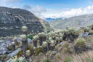 La Sierra Nevada de Güicán, El Cocuy y Chita es territorio sagrado para los indígenas uwa, el único pueblo muisca que aún existe. Esta comunidad ha luchado para conservar su territorio y cultura a través de procesos de resistencia. Además, cinco resguardos indígenas más conviven en el parque junto a campesinos. La agricultura, la ganadería y la explotación forestal de estos grupos supone una amenaza ambiental para el parque por la utilización de los recursos naturales, generando presión sobre la fauna y la flora.
