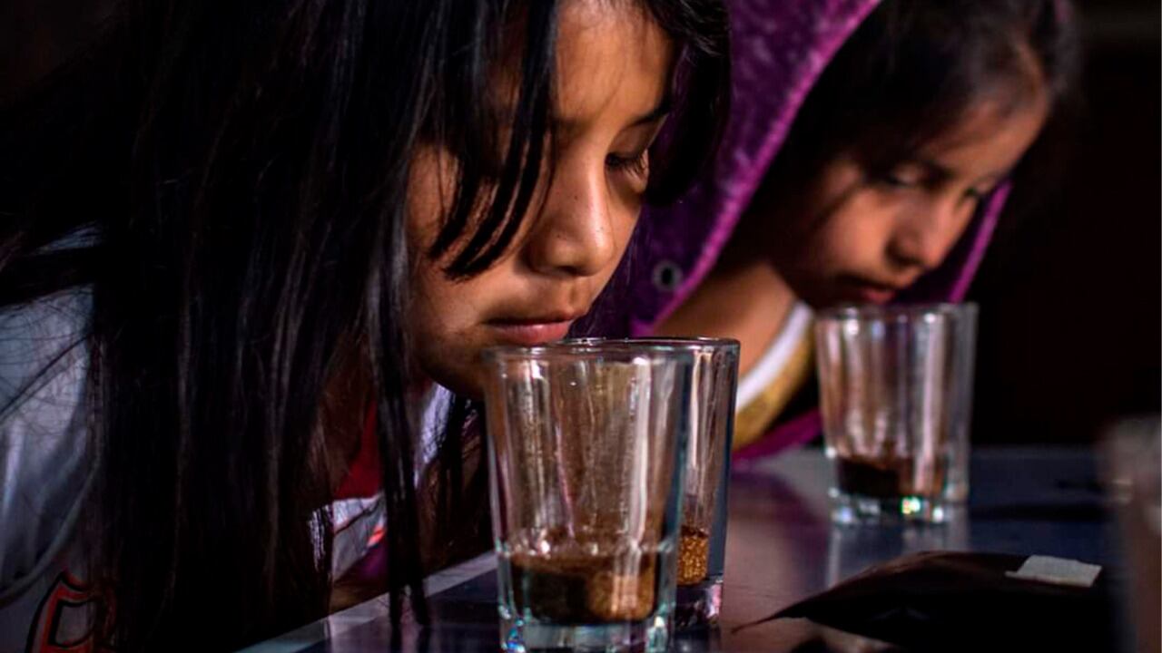 Tres historias donde el trabajo asociado con la producción y siembra de café es sinónimo de empuje rural.