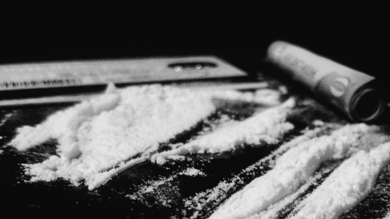 La cocaína es una de las drogas más adictivas del mundo y mueve millones de dólares