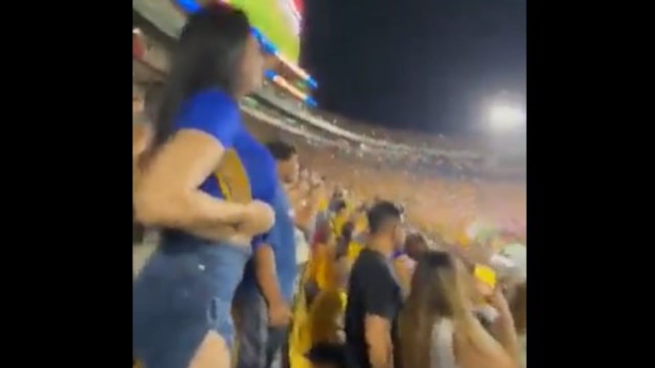 Aficionada de Tigres mostró sus senos en el partido