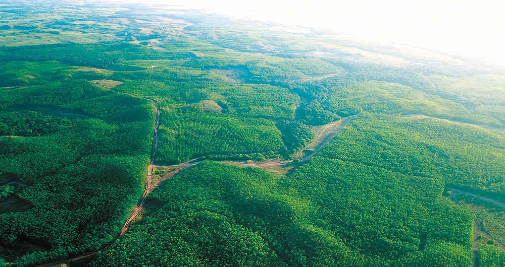 Colombia tiene un gran potencial debido a la disponibilidad de tierras y la oportunidad de contribuir a la preservación de la flora y la fauna.