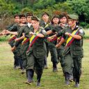 La edad más recurrente para el reclutamiento era a los 14 años, con 368 víctimas, que equivale al 19,4 por ciento. Además, se encontraron 910 víctimas (el 48 por ciento) entre 10 y 14 años.