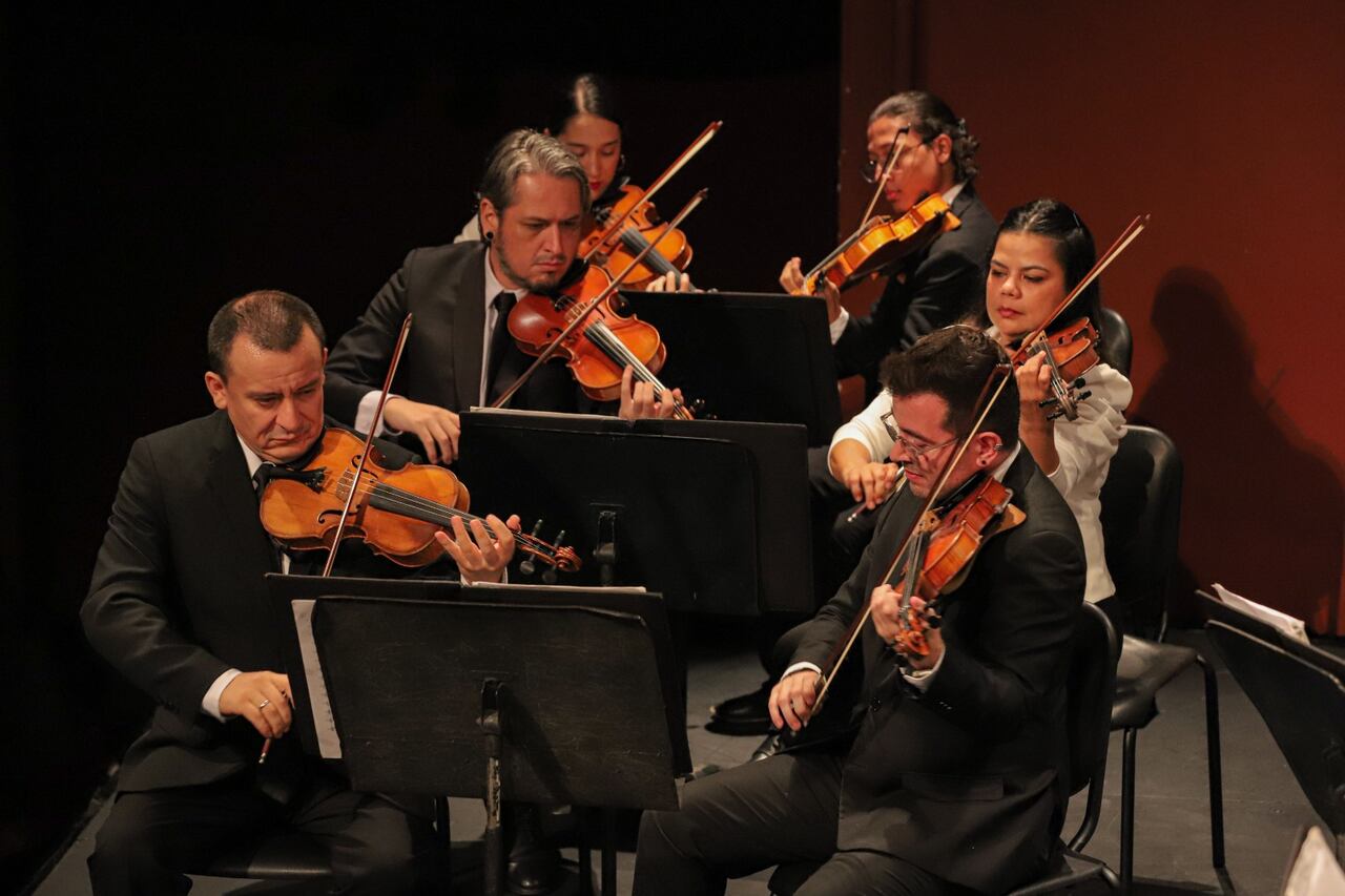 Encuentro de música clásica en Cali.