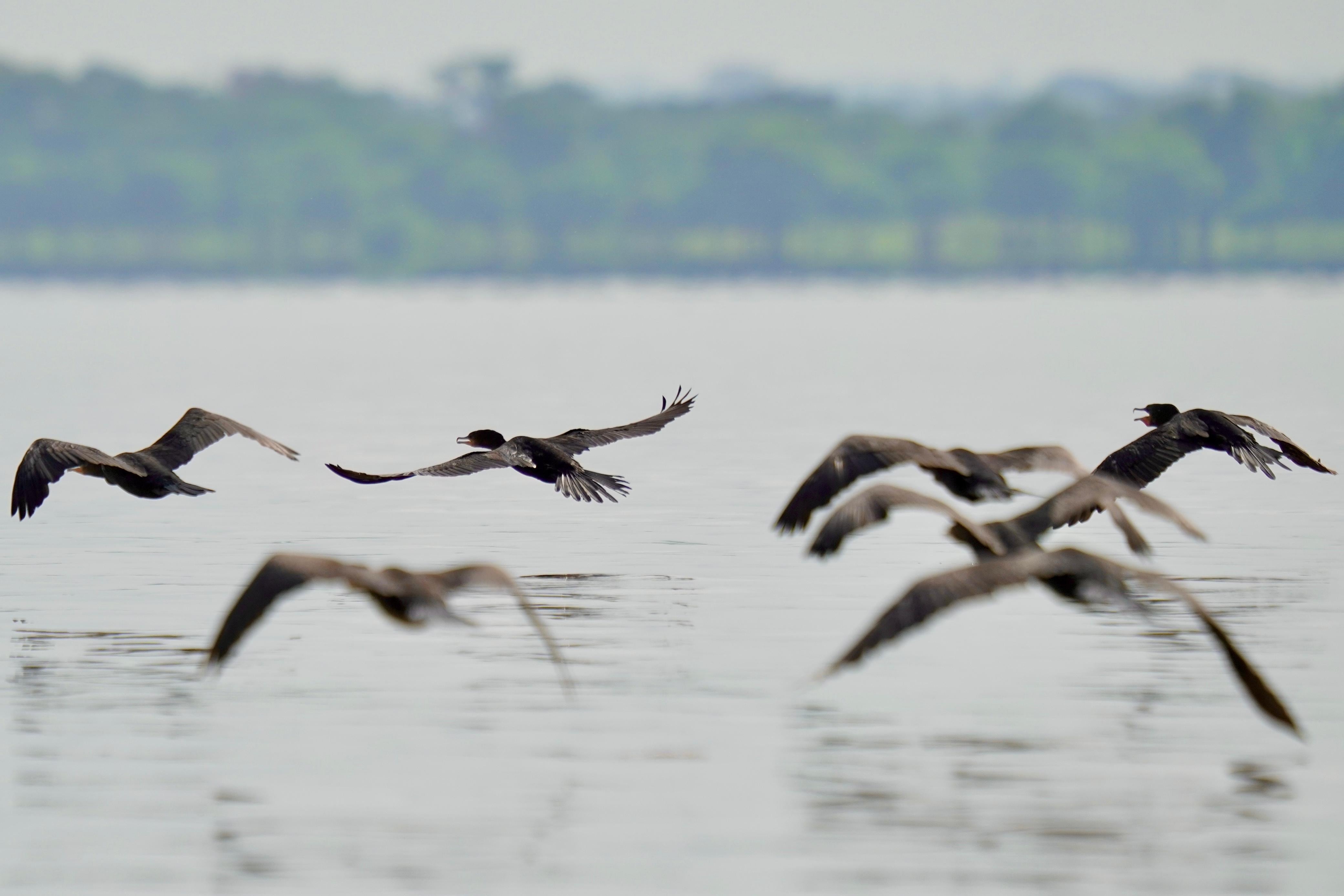 Imagen del departamento de Córdoba.