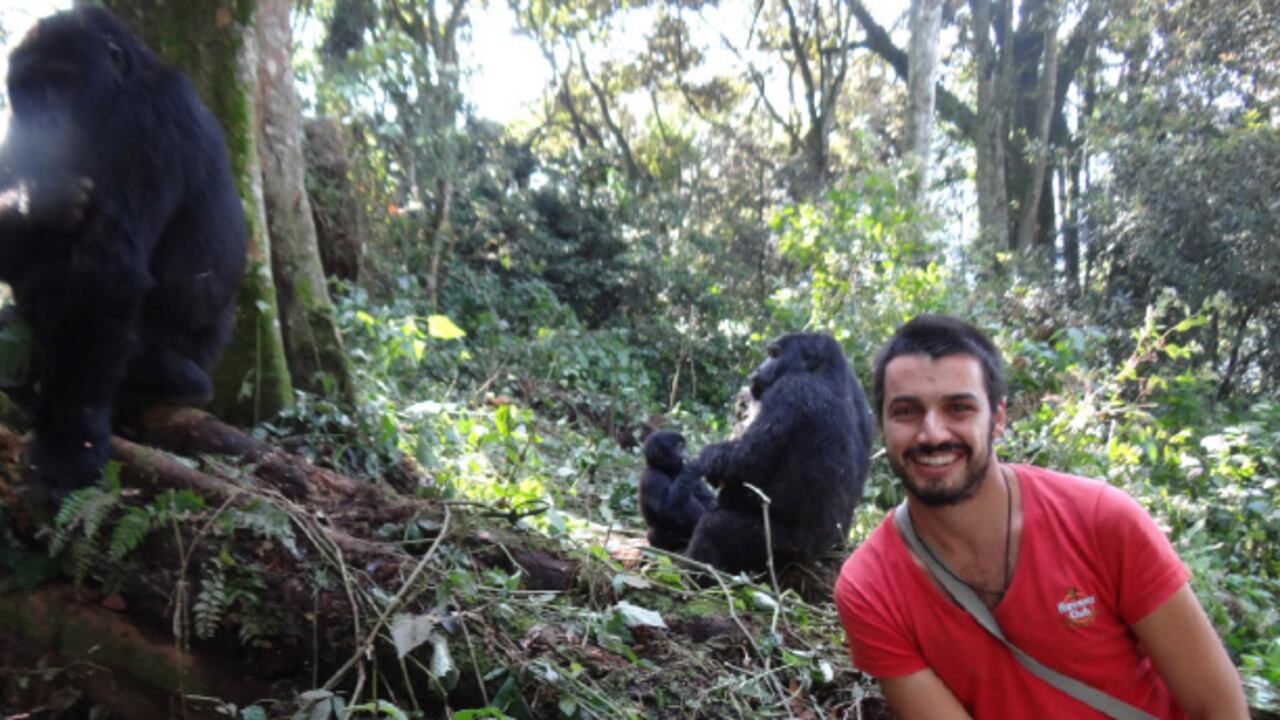 Con los gorilas en el Parque Nacional de la Selva Impenetrable de Bwindi, al sudoeste de Uganda.