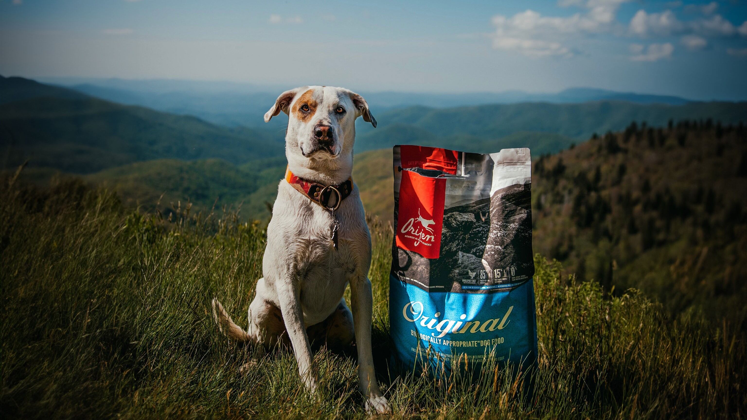 Veterinaria Especializada S.A.S.