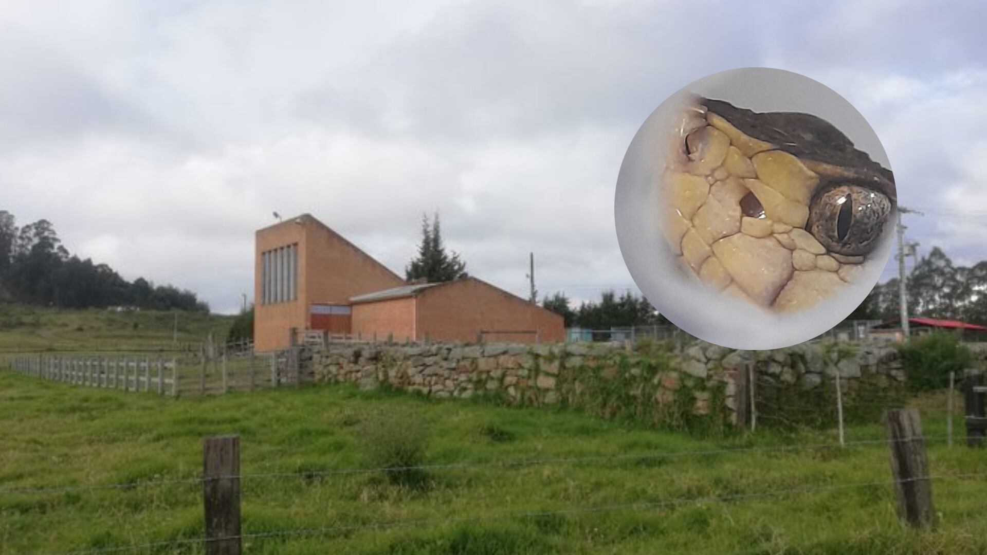 La Hacienda Galindo, donde queda el serpentario del Instituto Nacional de Salud se fortalecerá.