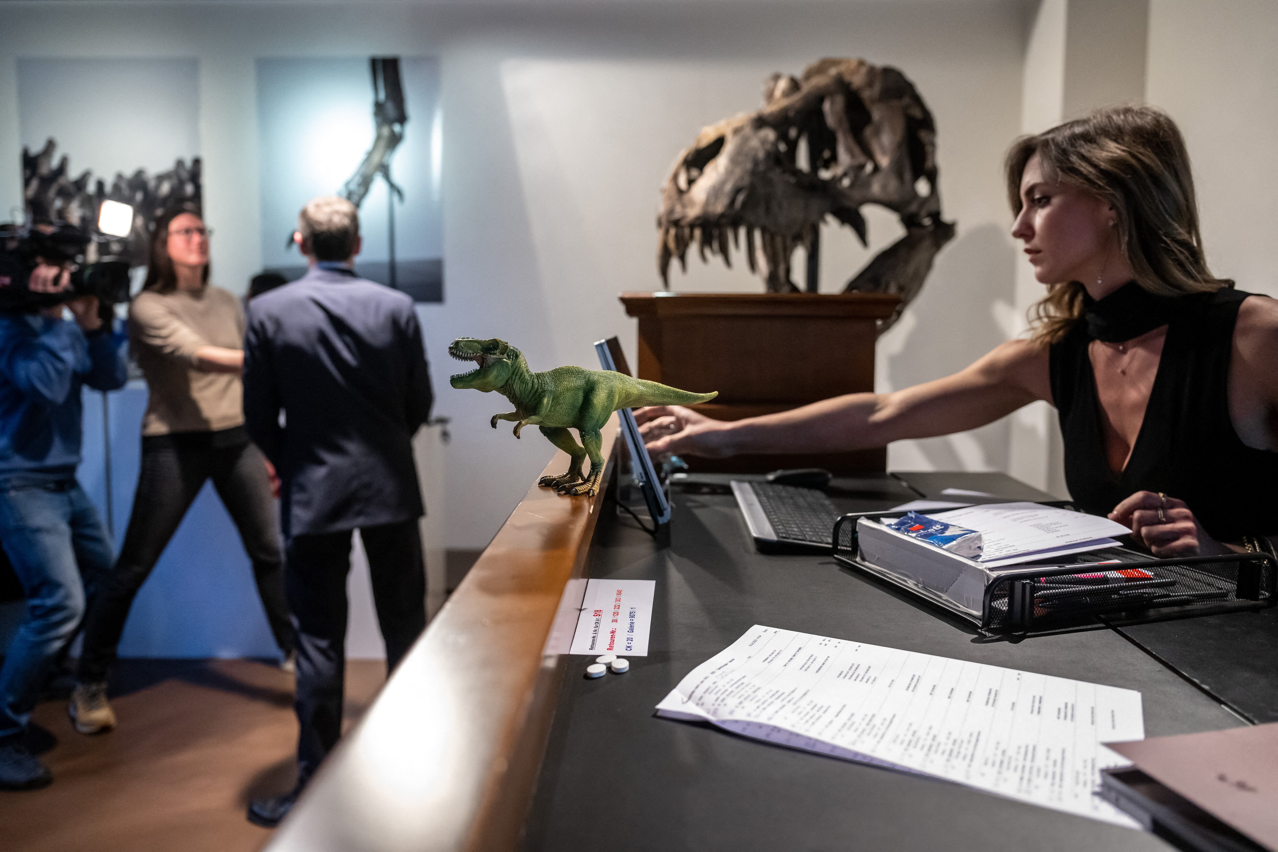 El esqueleto del T-Rex, que data de hace 67 millones de años y se hizo de huesos de tres dinosaurios excavados entre 2008 y 2013 en las formaciones Hell Creek y Lance Creek en Montana y Wyoming, se vendió por 4,8 millones de francos suizos