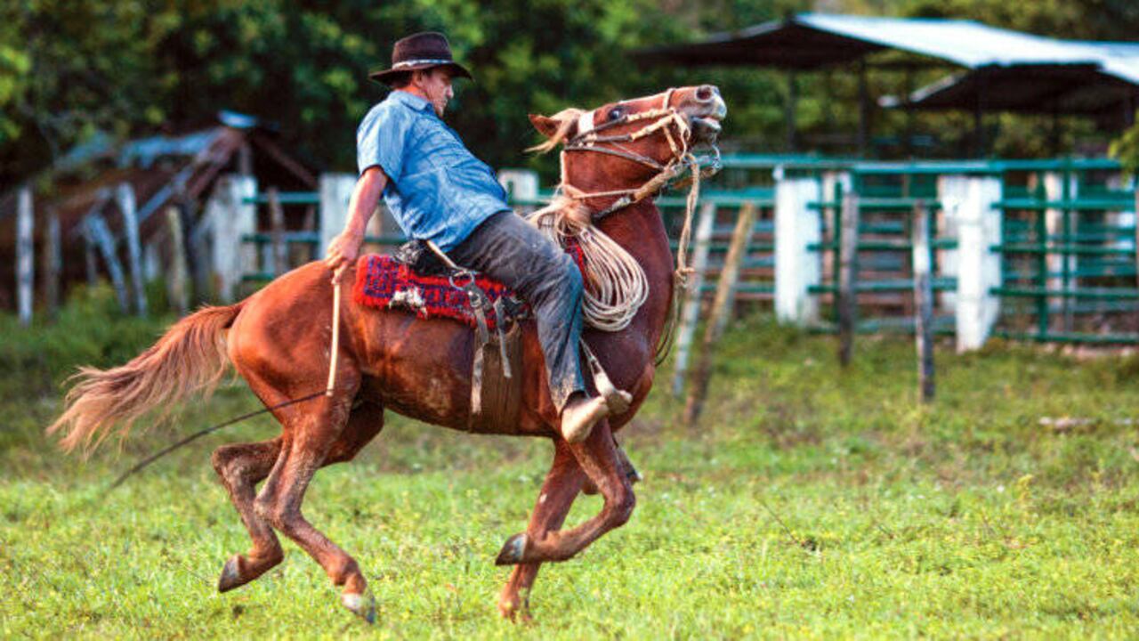 Llanero en Casanare. Crédito: Federico Rios.