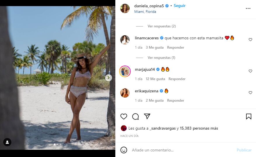 El comentario de @marjajua14, usuario en Instagram de Maria del Pilar Rubio, en la publicación de Daniela Ospina.