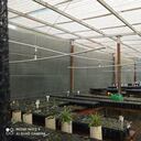 Vivero en el Parque Chingaza