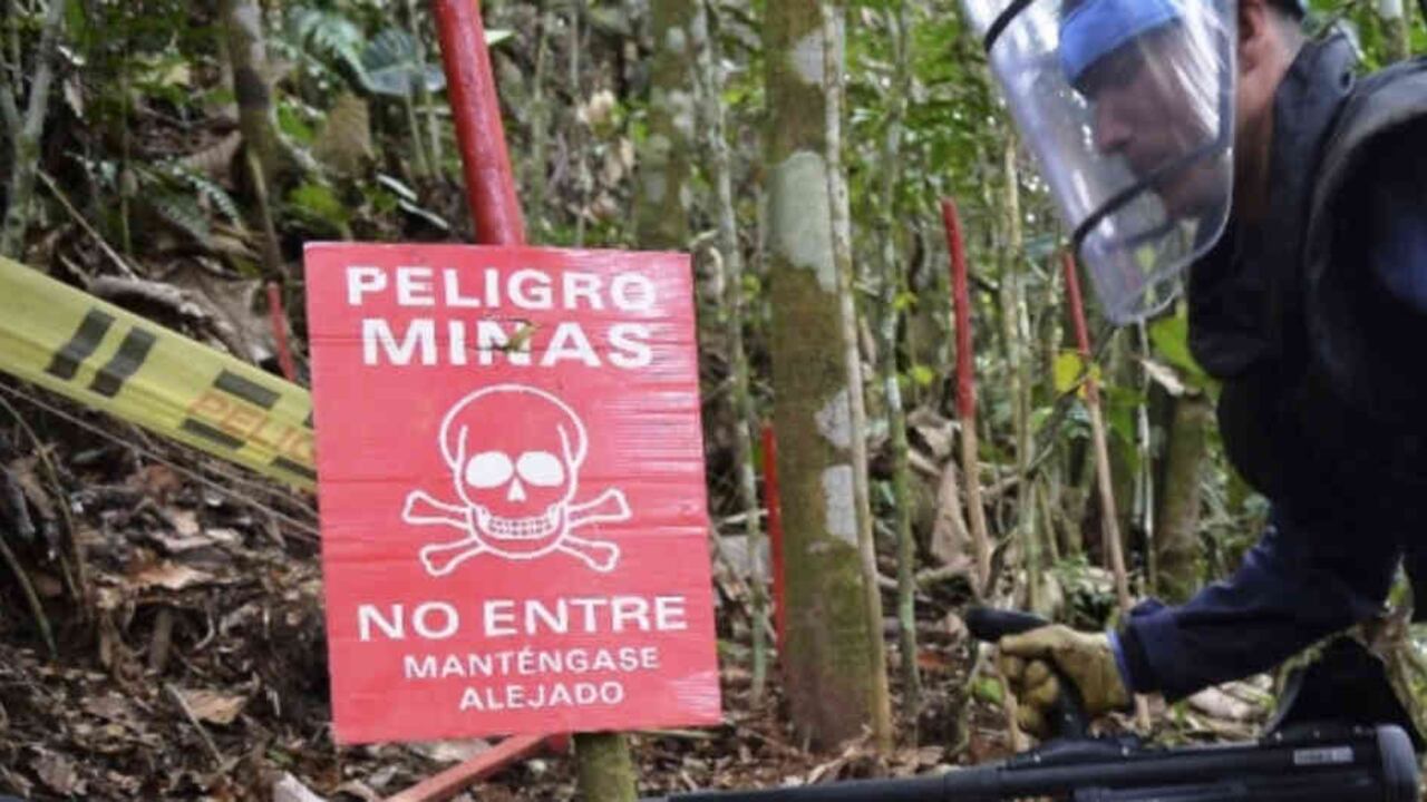 Gobierno pide plazo para cumplir la meta de erradicación de minas antipersona / Foto: AFP
