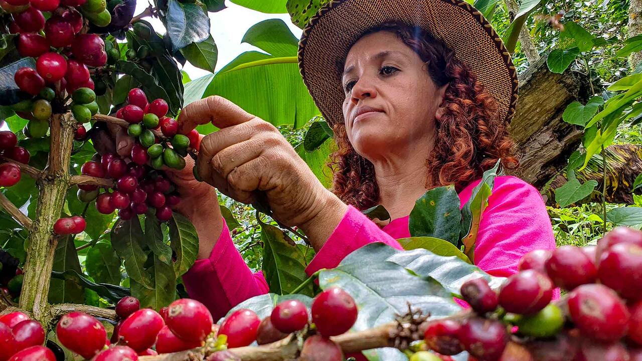 Huila: café, piscicultura y turismo rural