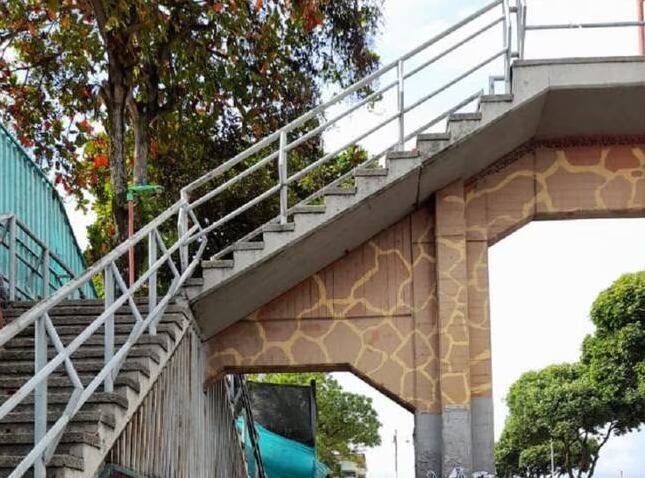 Puente La Jirafa en Bucaramanga.