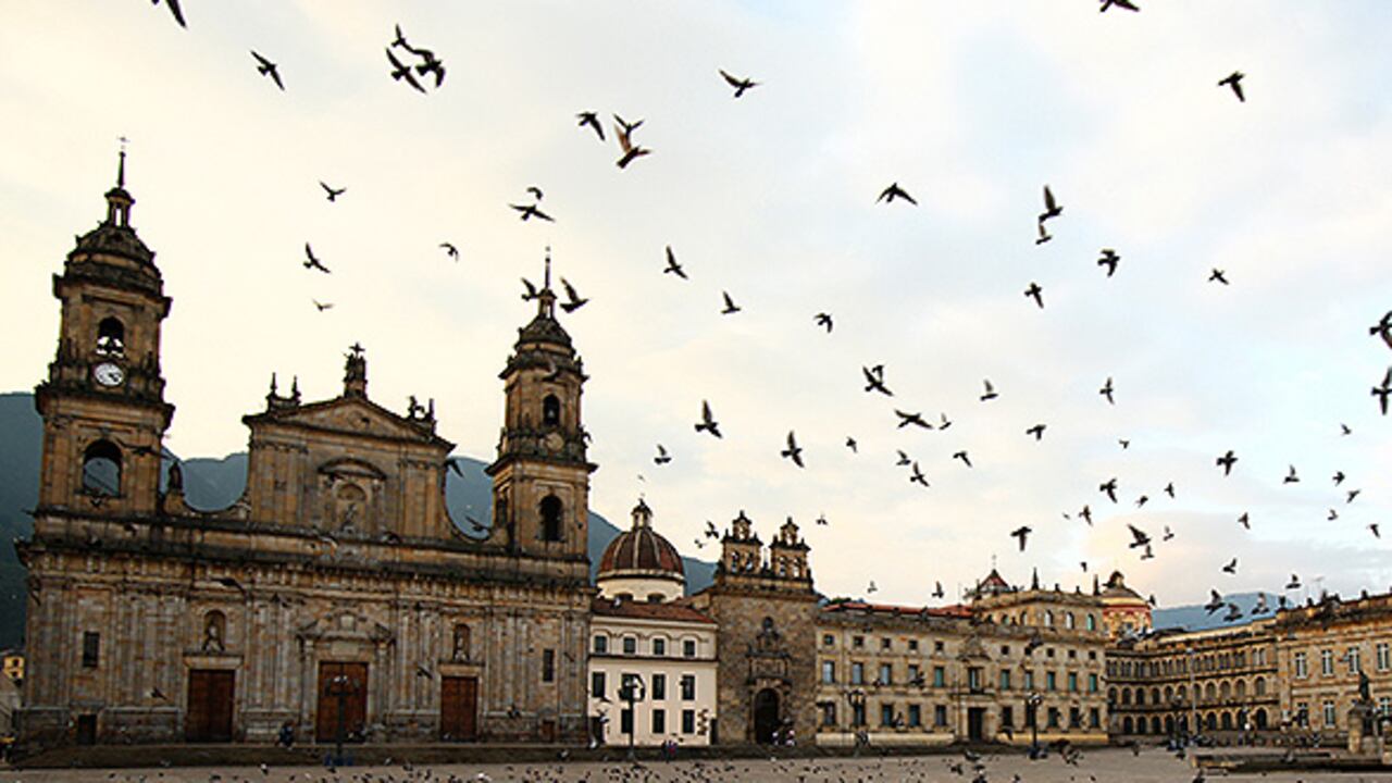 Las palomas son visitantes frecuentes de las plazas centrales de distintas ciudades.