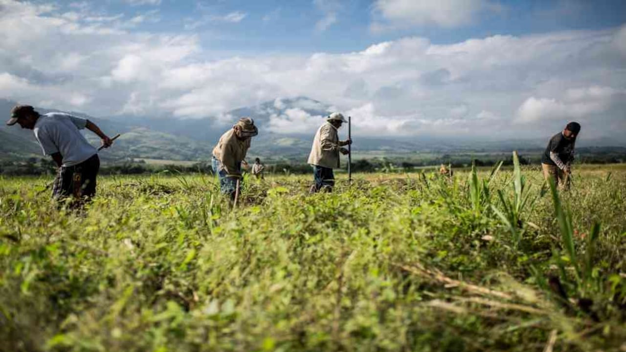 Indígenas del pueblo nasa de Corinto en el Centro de Armonización de El Guanábano. Foto: Víctor Galeano.