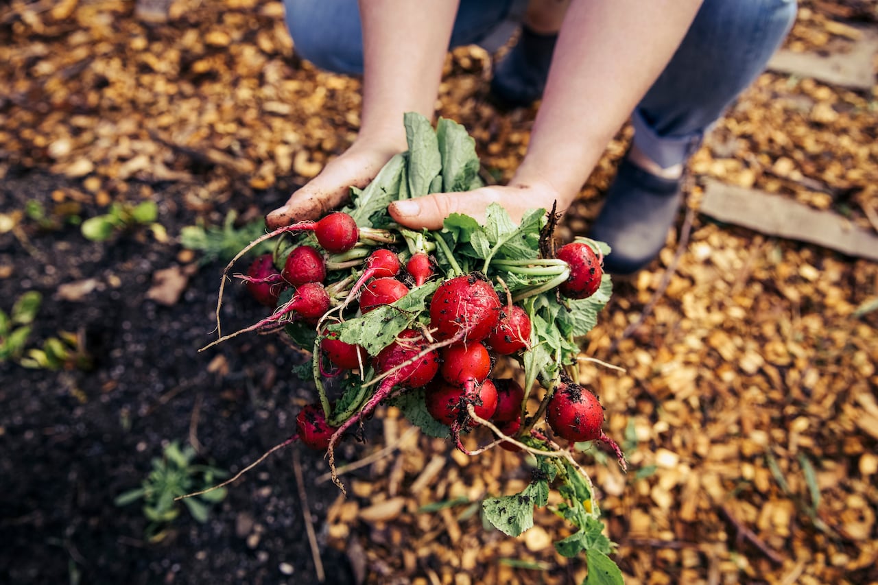 La iniciativa busca proteger la propiedad agrícola frente a inversionistas extranjeros vinculados a países considerados adversarios.