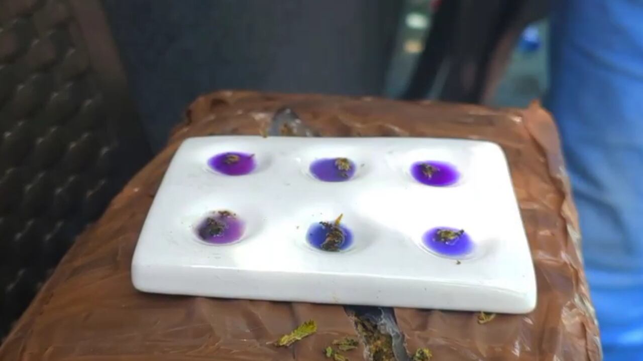 Gran incautación de marihuana en el Atlántico: operativo conjunto permitió quitarle 1.7 toneladas al Clan del Golfo