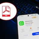 WhatsApp incorporó una nueva función que permite abrir archivos PDF más fácil.