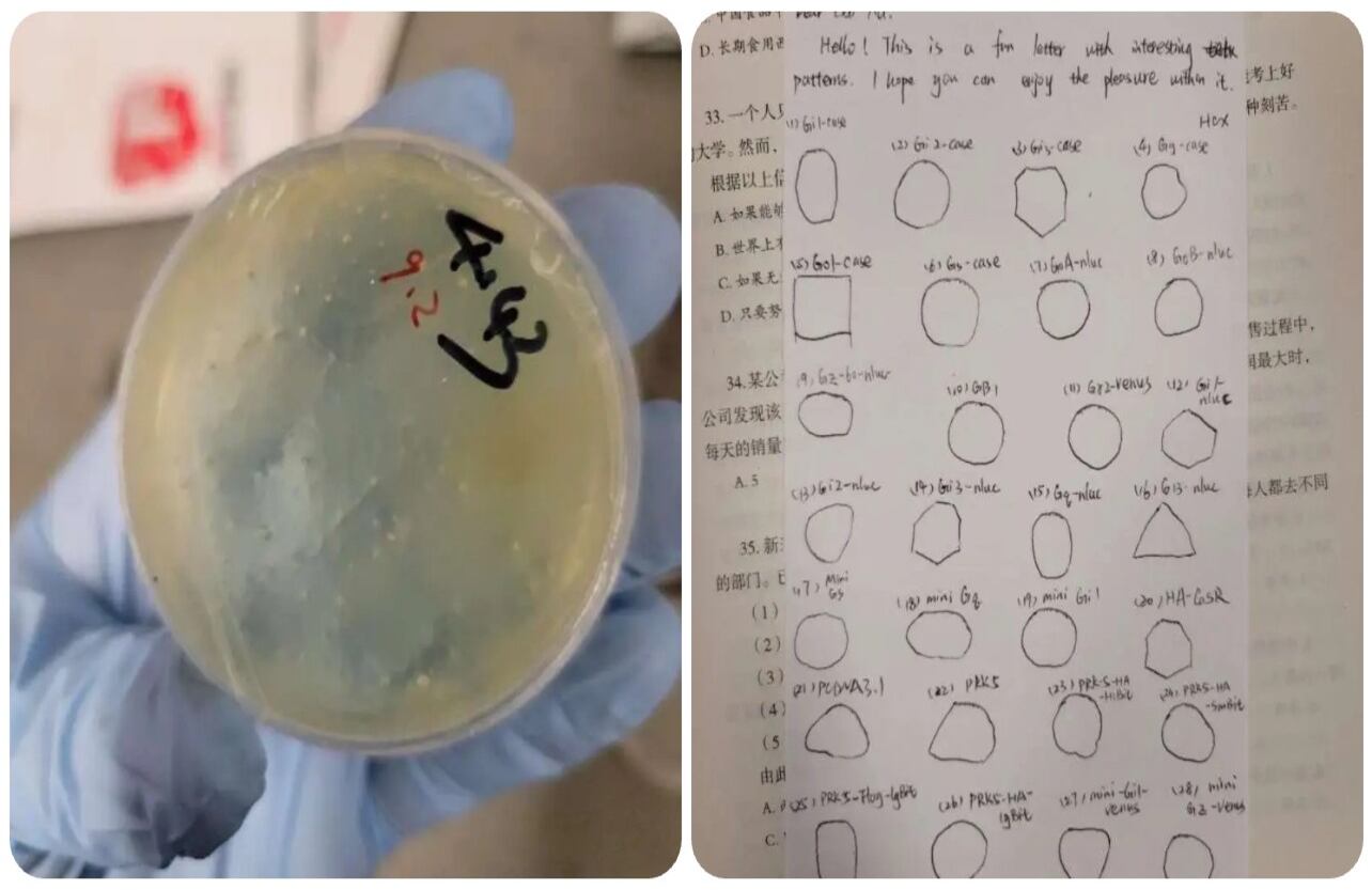 Un investigador chino supuestamente intentó contrabandear materiales biológicos a Estados Unidos desde Wuhan y mintió a los federales sobre el plan secreto.