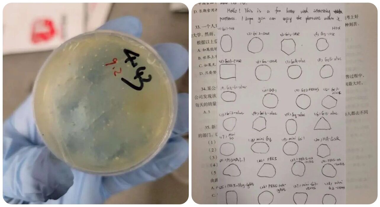 Un investigador chino supuestamente intentó contrabandear materiales biológicos a Estados Unidos desde Wuhan y mintió a los federales sobre el plan secreto.