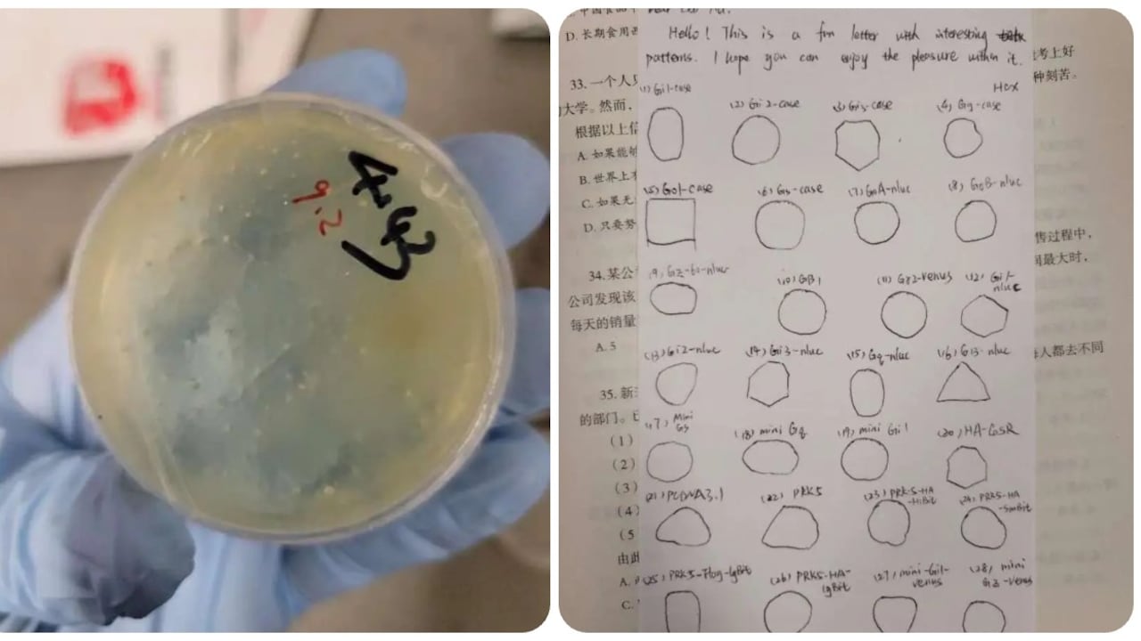 Un investigador chino supuestamente intentó contrabandear materiales biológicos a Estados Unidos desde Wuhan y mintió a los federales sobre el plan secreto.