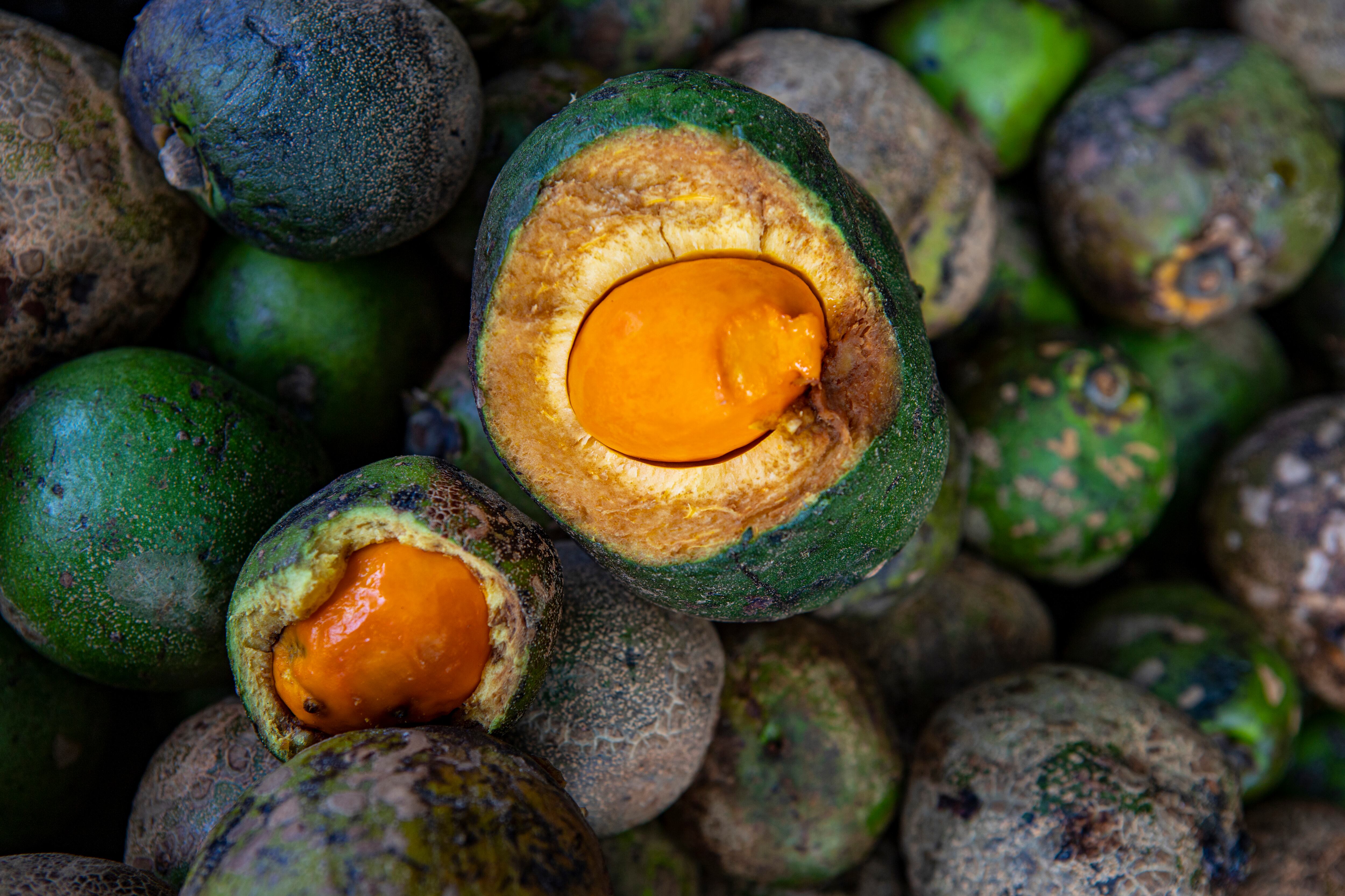 Pequi tiene muchos nutrientes.