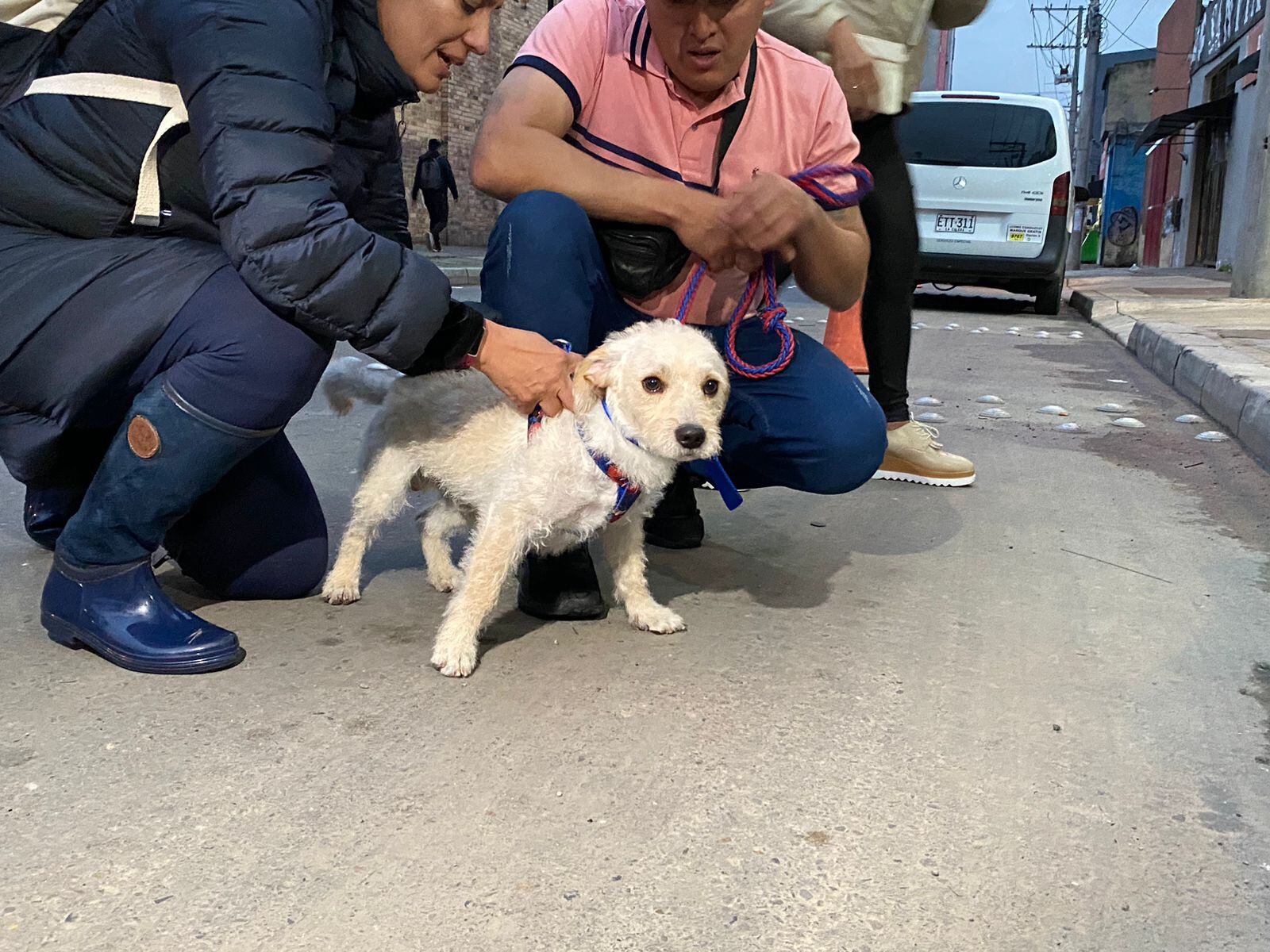 Justin, el perro de la familia Rivera Murcia después de ser liberado.