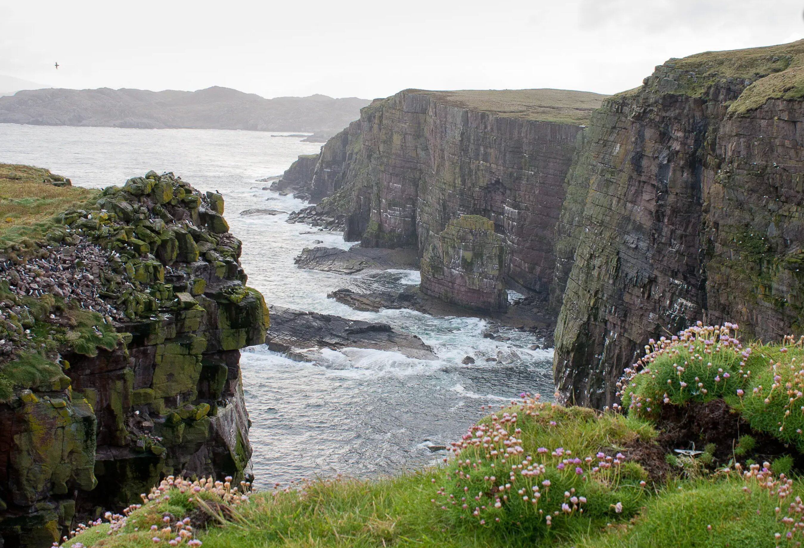Isla de Handa, en Escocia