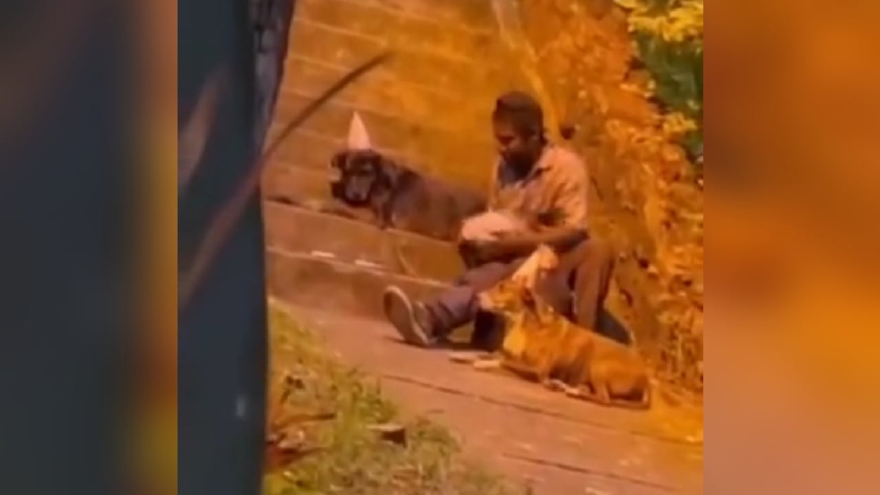 Un habitante de calle en Bucaramanga celebró el cumpleaños de sus mascotas.