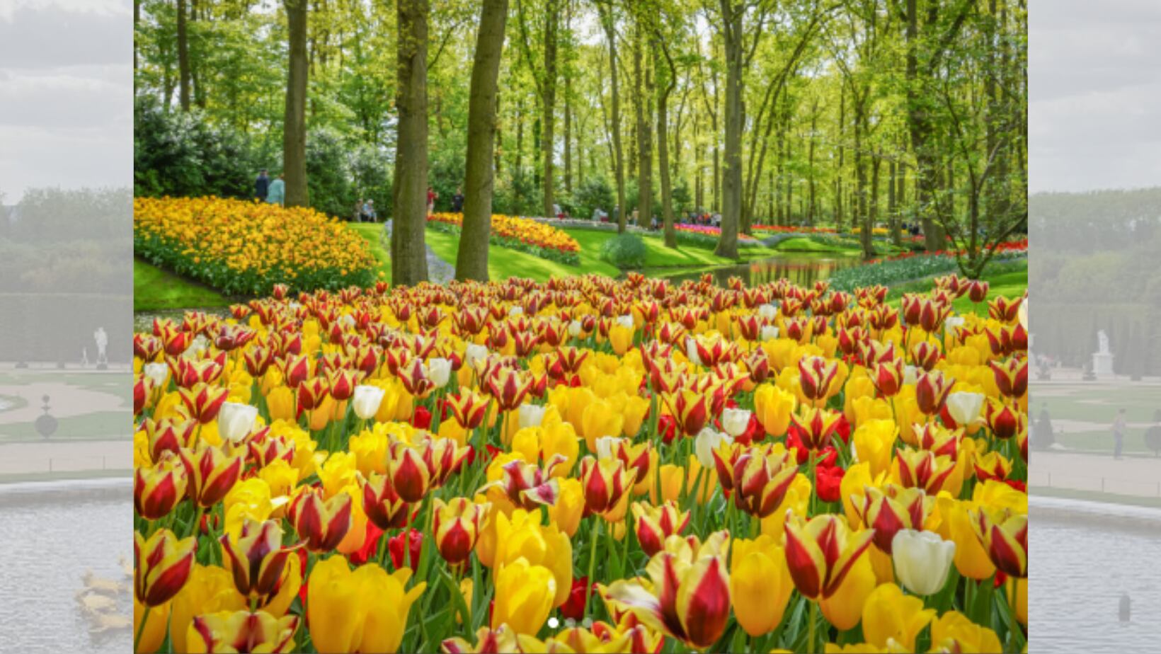 Jardín de Keukenhof, en Países Bajos