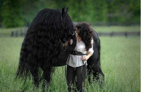 Foto: Cally Matherly