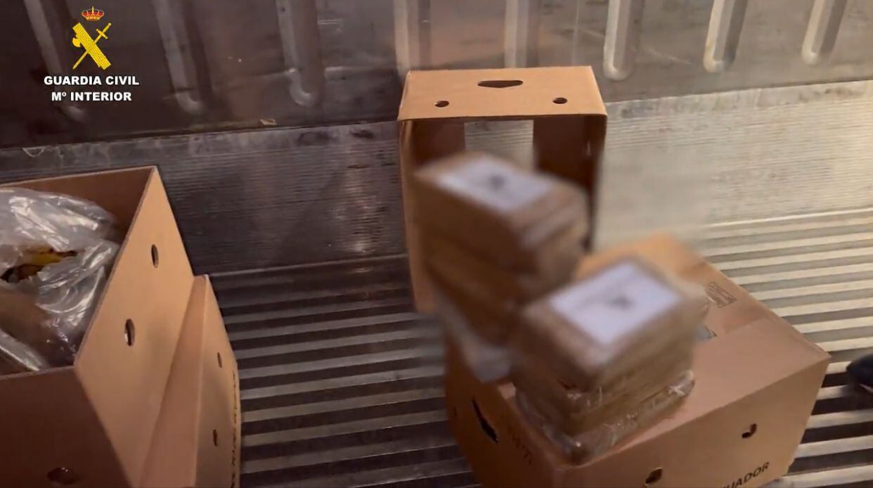 La operación inició en octubre del 2022 y originó la captura de 13 personas