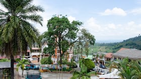 Buenavista, Quindío.