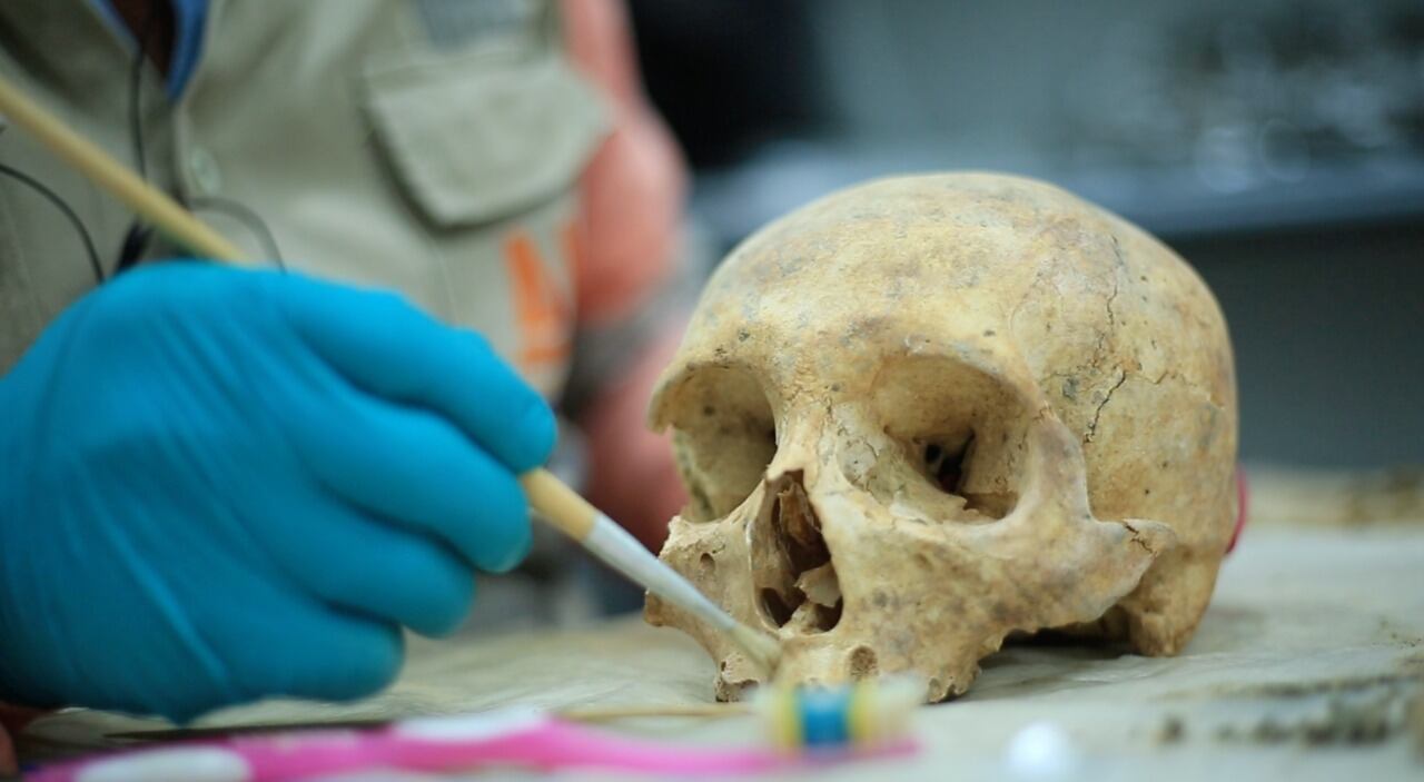 Hallazgos arqueológicos