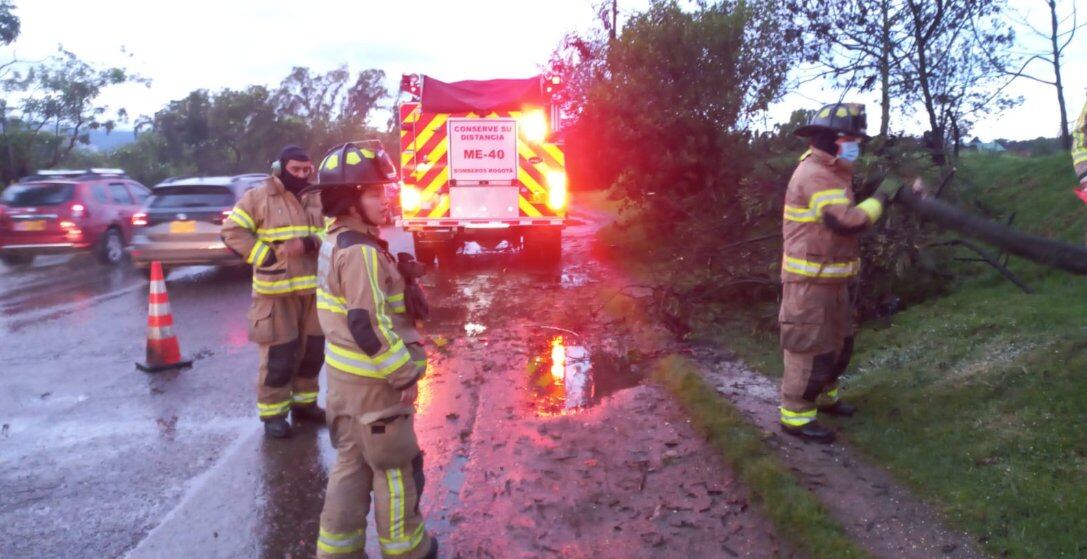 Afectación vial de un carril por caída de árbol en la Autonorte con calle 220 en sentido Norte - Sur.