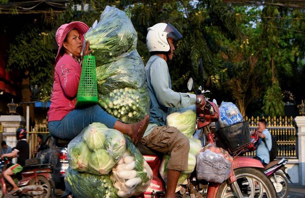 Una mujer sostiene una gran cantidad de verduras en una motocicleta, a lo largo de una calle en Nom Pen, capital de Camboya, el 22 de enero de 2020. Foto:Tang Chinn Sothy/ AFP. 