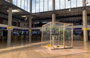 Campaña 'Condenados' de la CAR