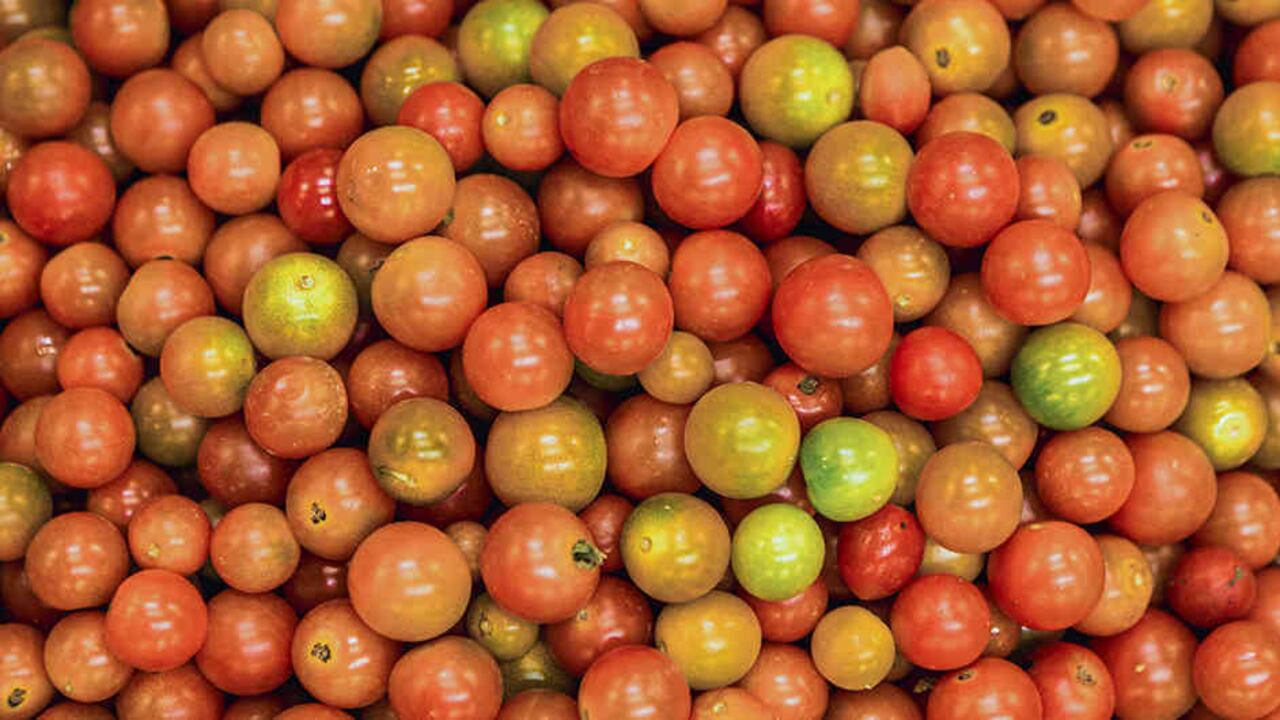 La Agencia de Desarrollo Rural ha apoyado la siembra de café, aguacate hass, cacao y arroz en las regiones del país con el objetivo de innovar la oferta del agro en el mercado.