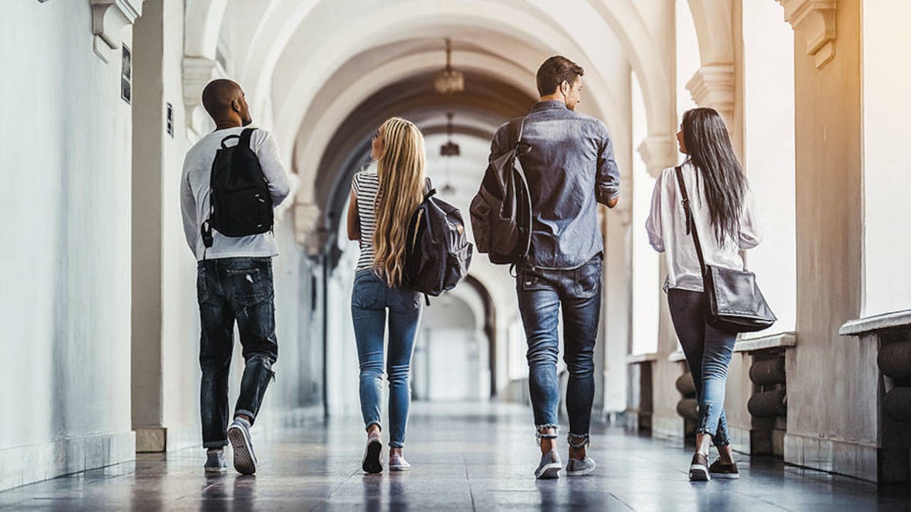 Mejor universidad para estudiar zootecnia en 2020