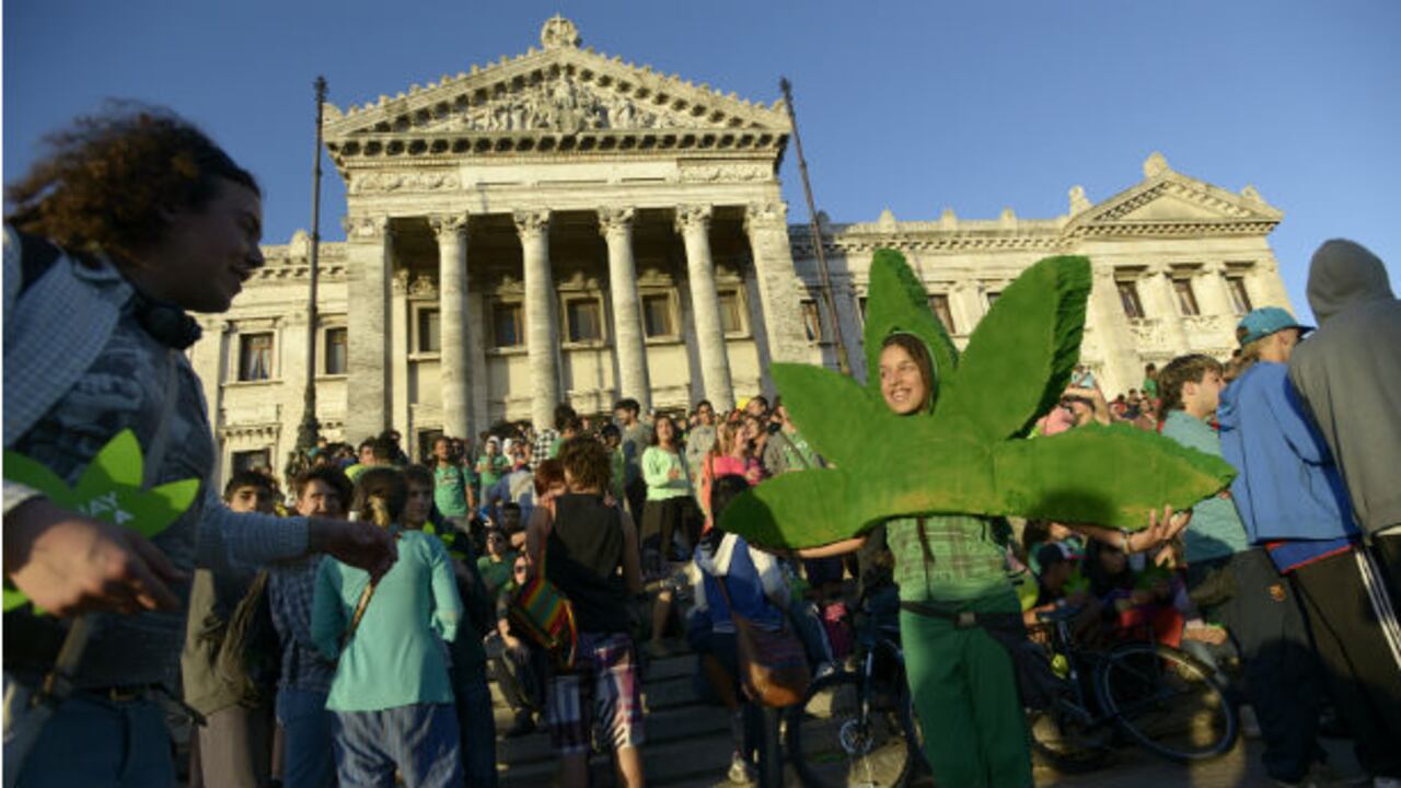El Estado asume el control y la regulación de las actividades de importación, producción, adquisición a cualquier título, almacenamiento, comercialización y distribución de la marihuana o sus derivados.