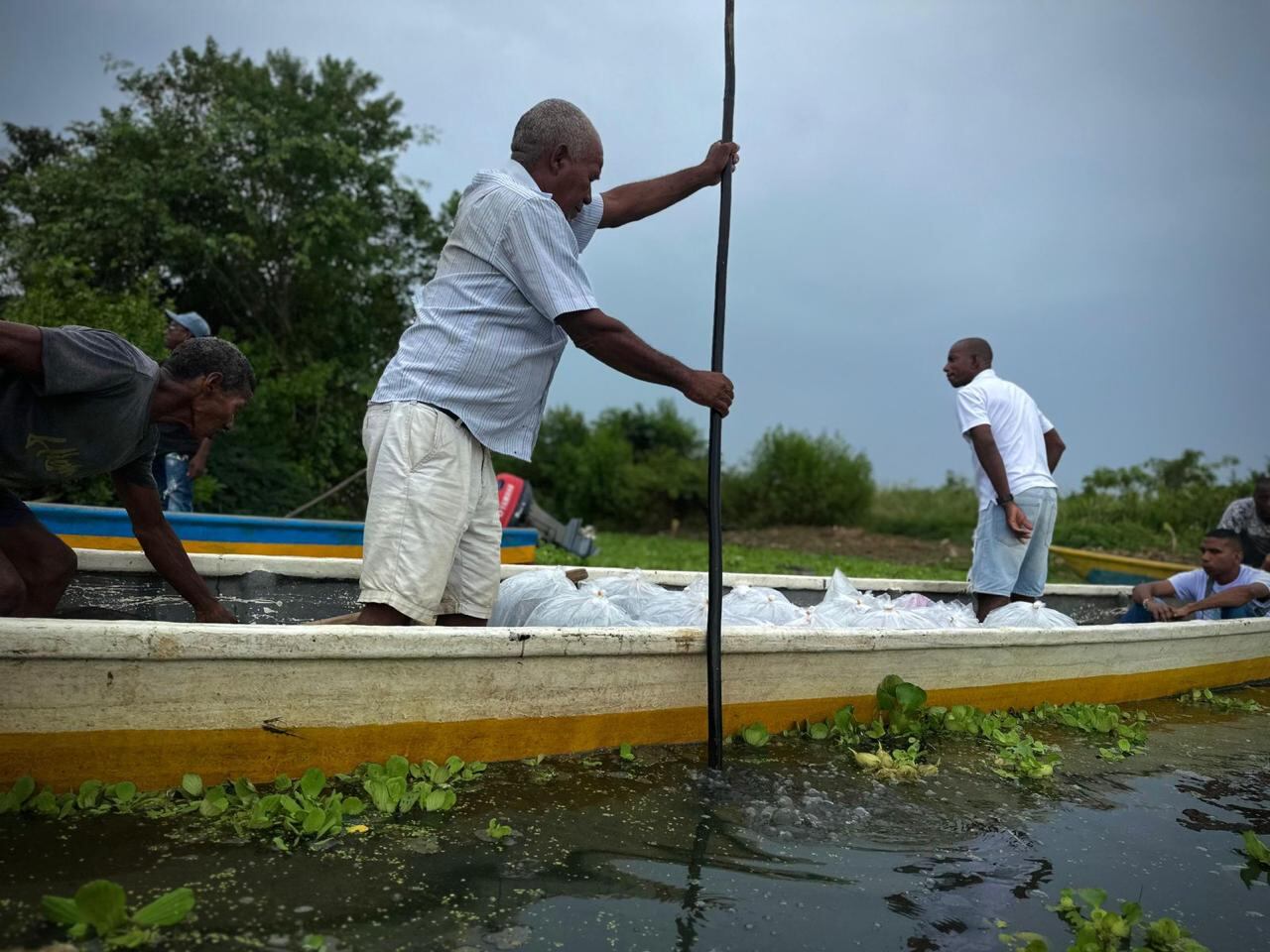 Siembran peces en Bolívar.
