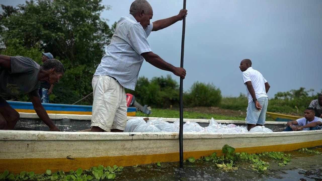 Siembran peces en Bolívar