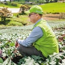 El Banco Agrario fue el primer banco del país en hacer trámites de solicitudes de crédito a través de corresponsales bancarios por una aplicación.