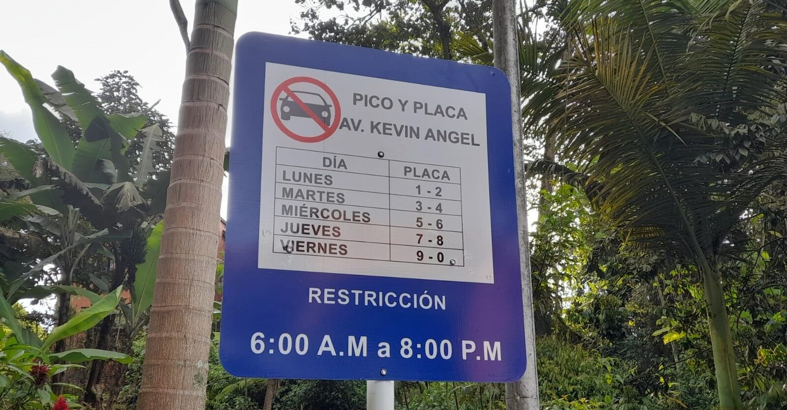 En el caso de los taxis el pico y placa es diario y en toda la ciudad